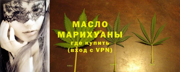 шишки Медвежьегорск