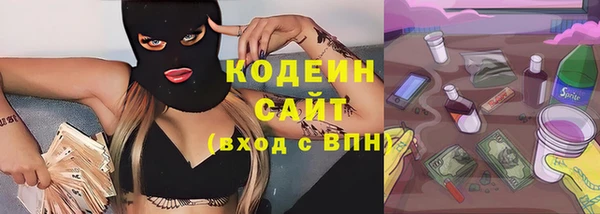 шишки Медвежьегорск