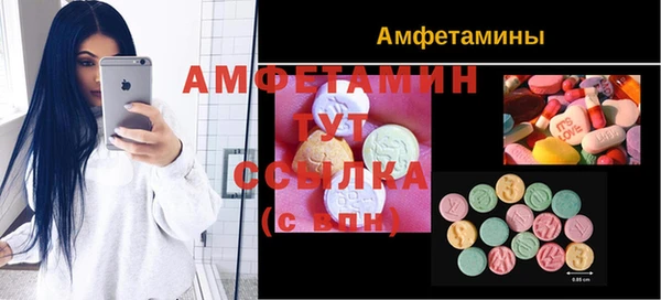 шишки Медвежьегорск