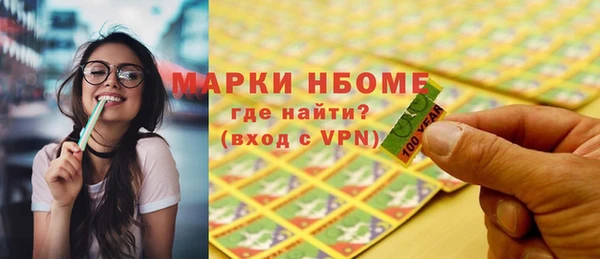 индика Медногорск