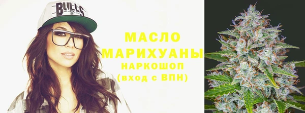 индика Медногорск