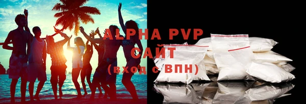 индика Медногорск