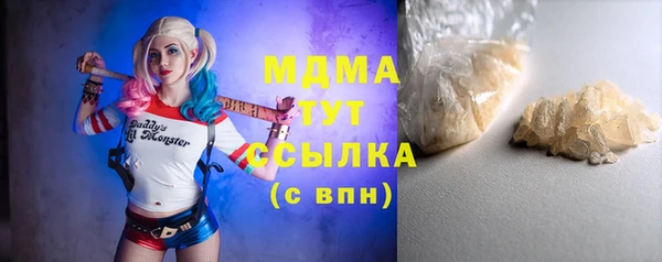 шишки Медвежьегорск