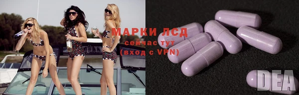 шишки Медвежьегорск