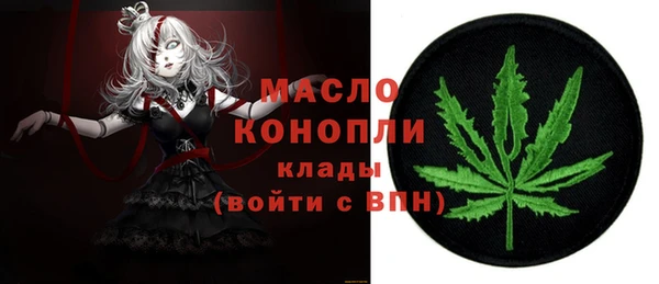 шишки Медвежьегорск