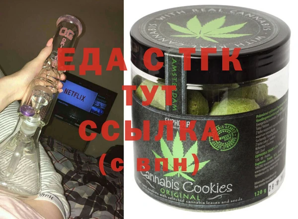 индика Медногорск