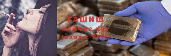 шишки Медвежьегорск