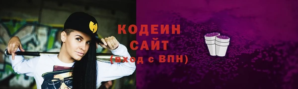 индика Медногорск