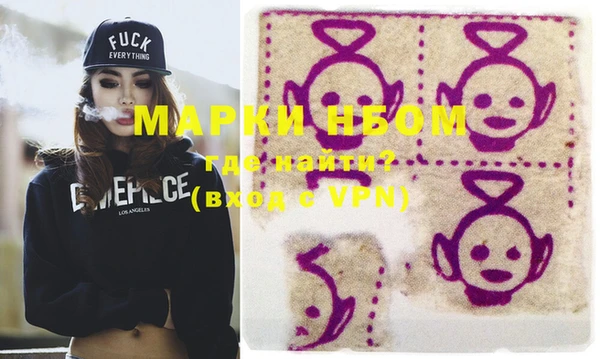 индика Медногорск