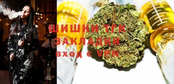индика Медногорск