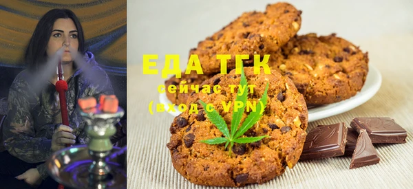 индика Медногорск