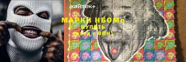 шишки Медвежьегорск