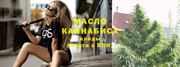 индика Медногорск