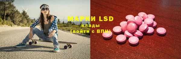 шишки Медвежьегорск
