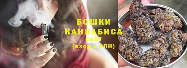 индика Медногорск