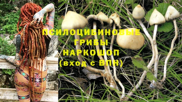 индика Медногорск