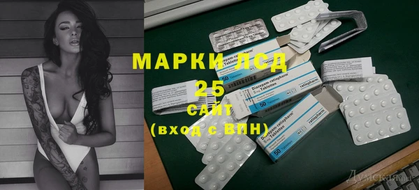 индика Медногорск