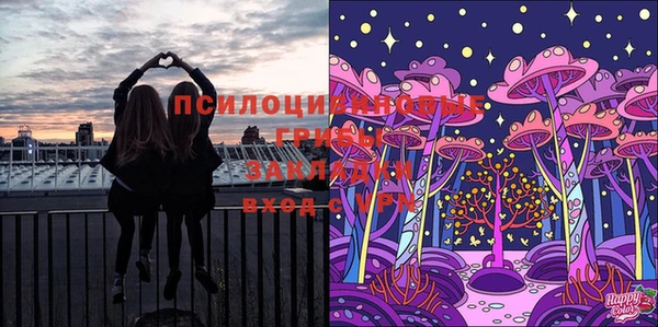 прущая мука Мегион